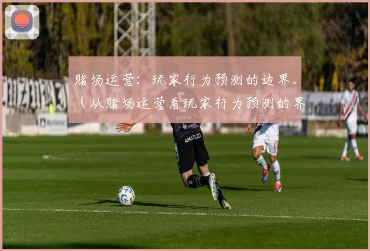 赌场运营：玩家行为预测的边界。（从赌场运营看玩家行为预测的界限）