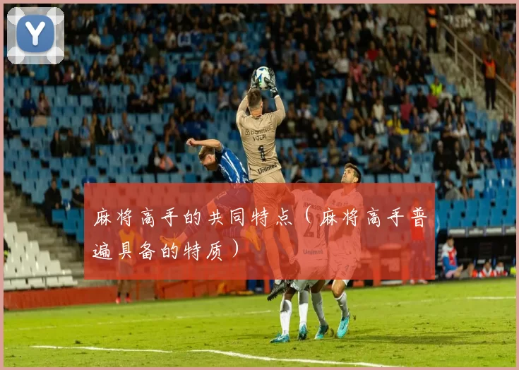 麻将高手的共同特点（麻将高手普遍具备的特质）