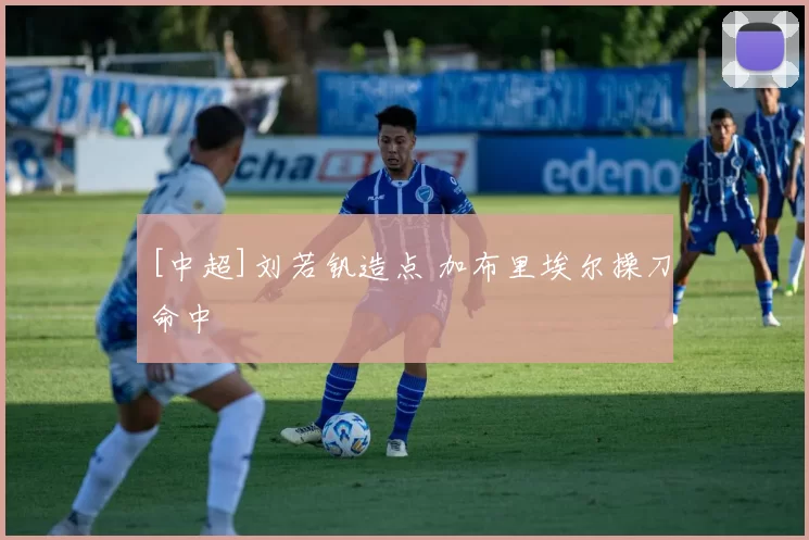 [中超]刘若钒造点 加布里埃尔操刀命中