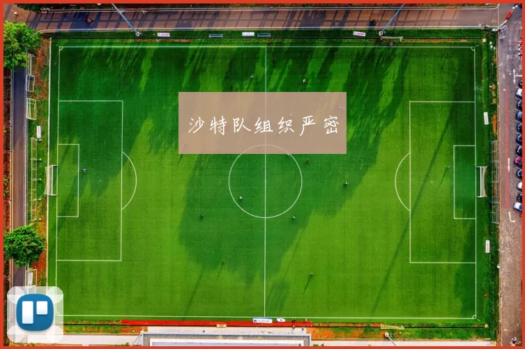 沙特队组织严密