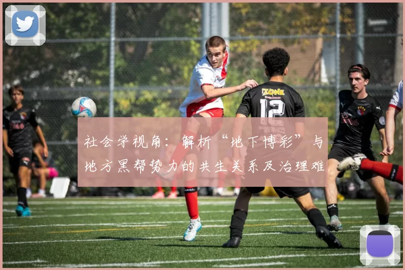 社会学视角：解析“地下博彩”与地方黑帮势力的共生关系及治理难题。（社会学观察：地下博彩与地方黑帮的共生逻辑及治理挑战）