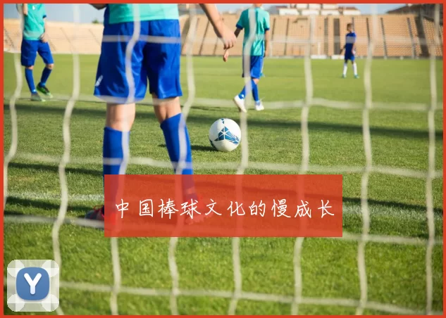 中国棒球文化的慢成长