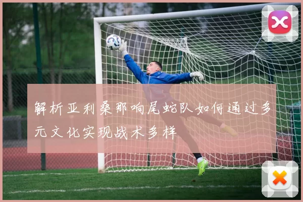 解析亚利桑那响尾蛇队如何通过多元文化实现战术多样