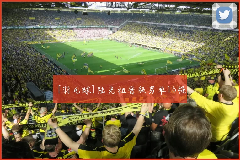 [羽毛球]陆光祖晋级男单16强