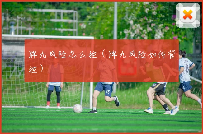 牌九风险怎么控（牌九风险如何管控）